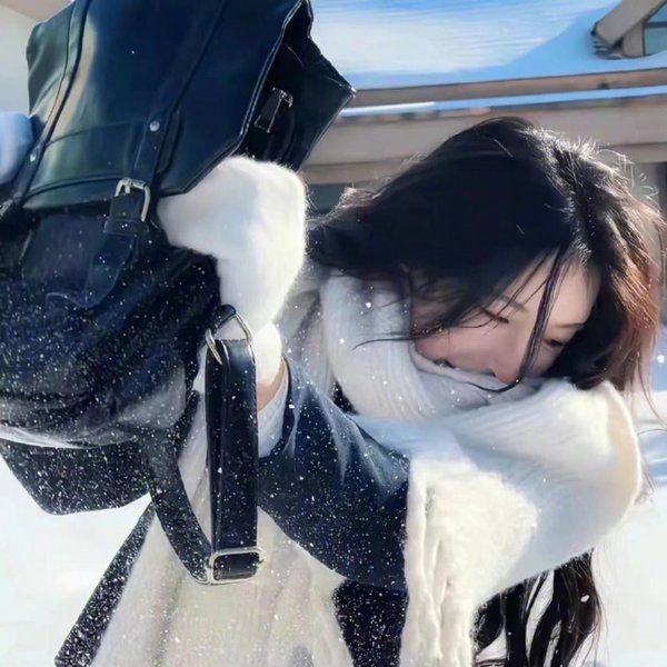扬州八怪